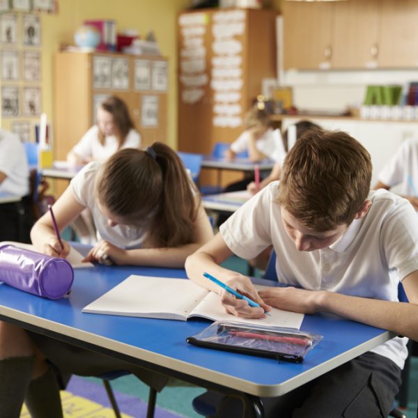 Class,Of,Primary,School,Kids,Studying,During,A,Lesson,,Close